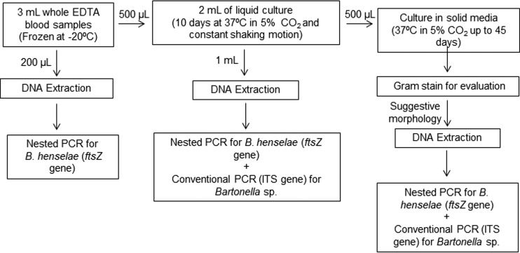 FIG 1