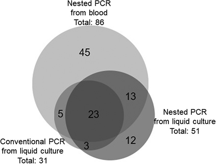 FIG 2