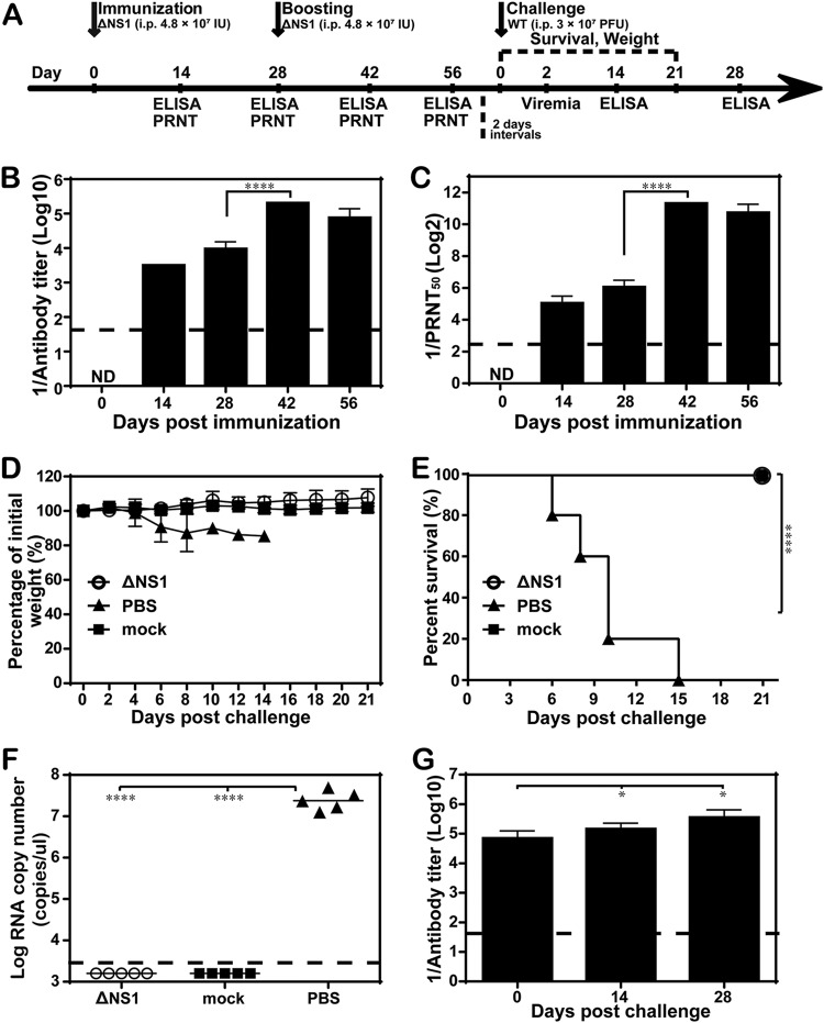 FIG 5