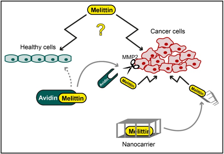 Apitoxin and Its Components against Cancer, Neurodegeneration and ...