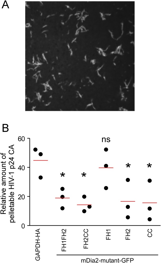 Fig. S5.