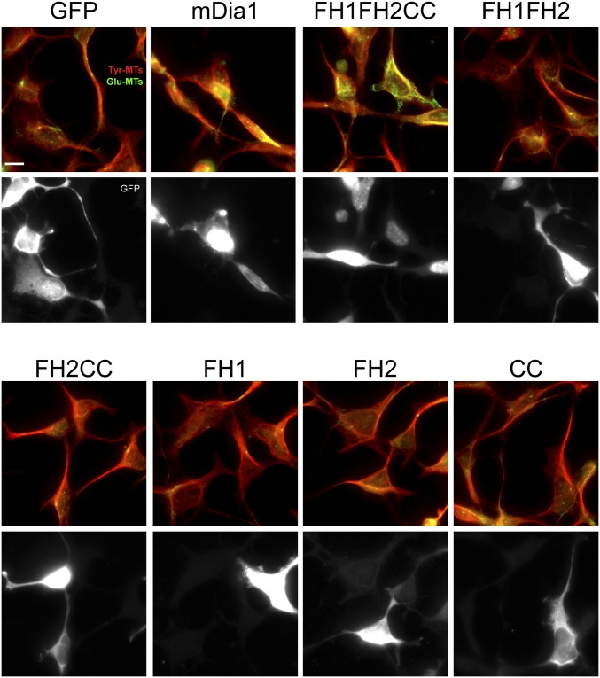 Fig. S6.