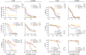 Figure 2. Effect of doxorubicin or Cdk4/6i on the sensitivity to T-DM1 or SYD985. The indicated cell lines were treated with a concentration of doxorubicin (ranging from 12.5 to 50 nmol/L, depending on cell line, for 4 days) or Cdk4/6i (700 to 3,000 nmol/L, for 5 days), replated and treated with different concentrations of T-DM1 or SYD985 for 7 additional days without doxorubicin or Cdk4/6i. Then, cell numbers were estimated with the crystal violet staining assay.