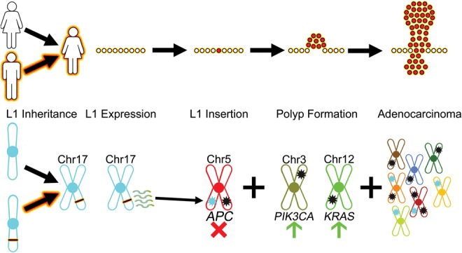 Figure 6.