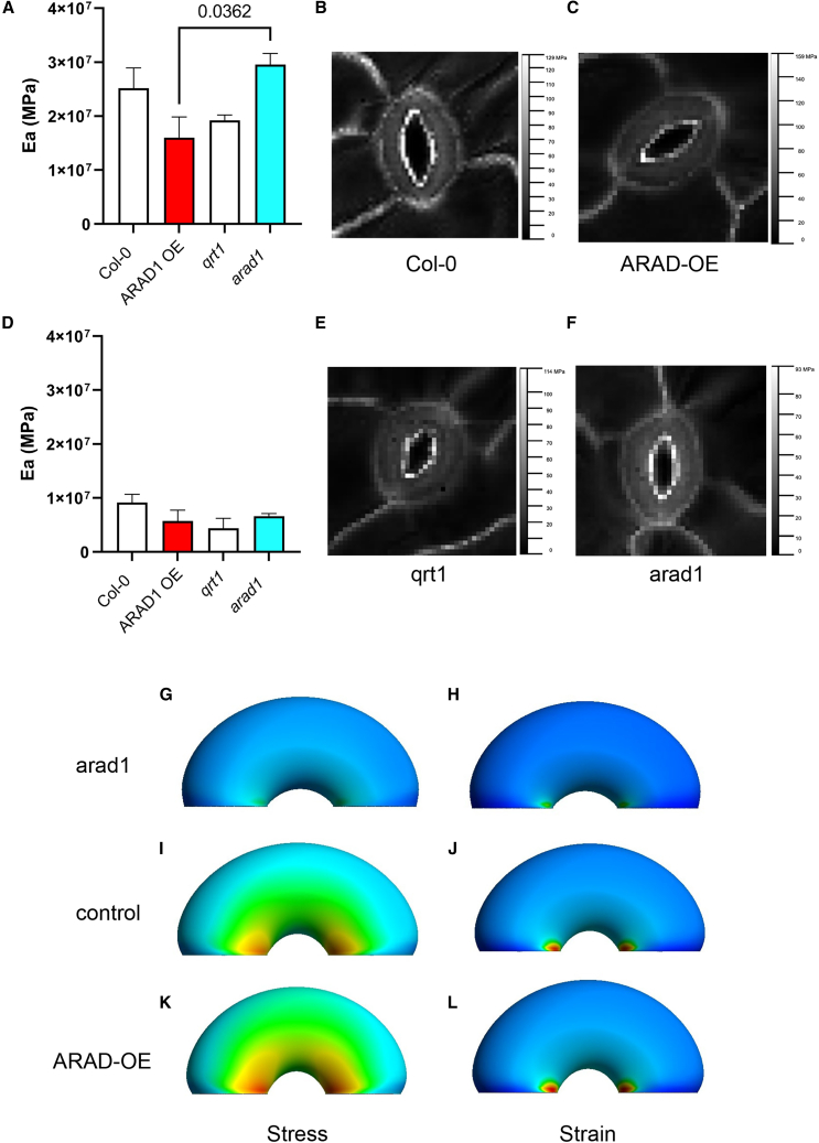 Figure 4