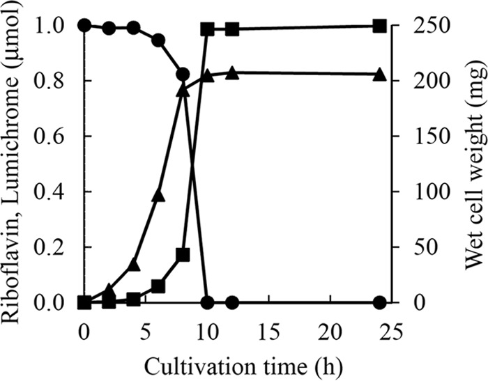 FIG 2