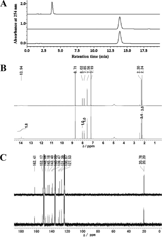 FIG 6