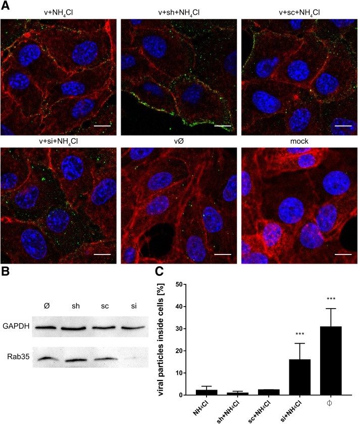 Fig. 13