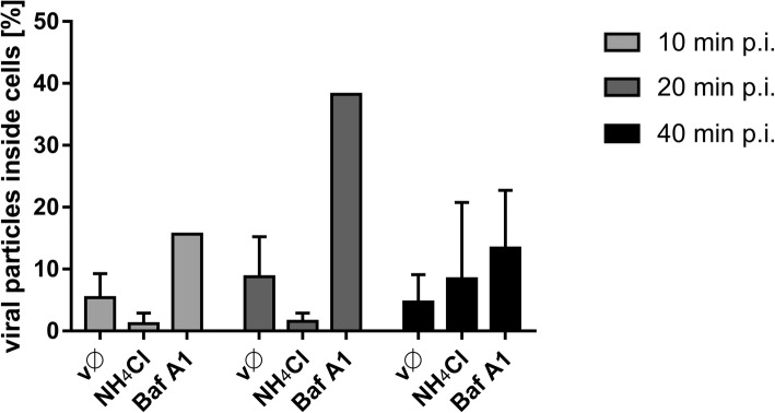 Fig. 10