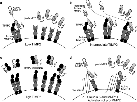 FIG. 7.