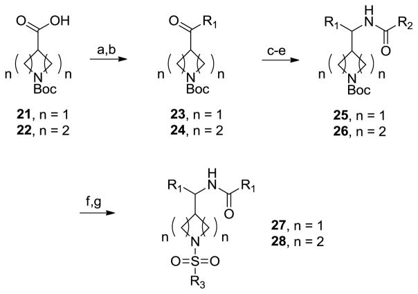 Scheme 3