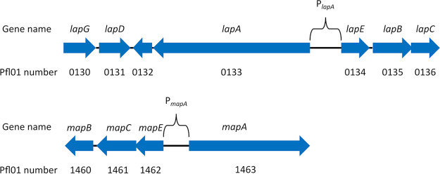 FIG 4