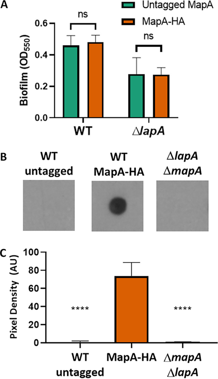 FIG 3