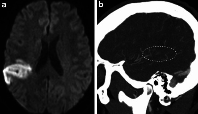 Fig. 9