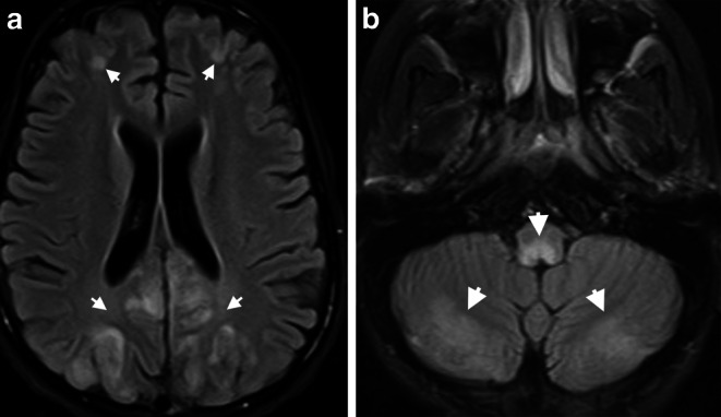 Fig. 8