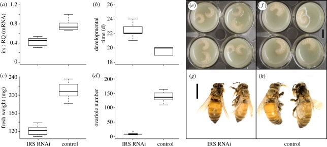 Figure 1.