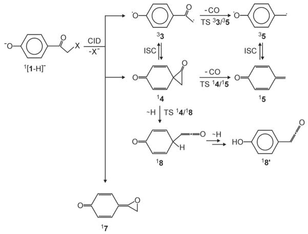 Scheme 3