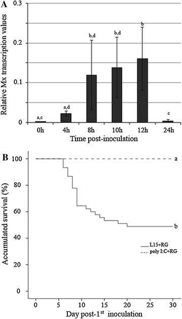 Figure 4