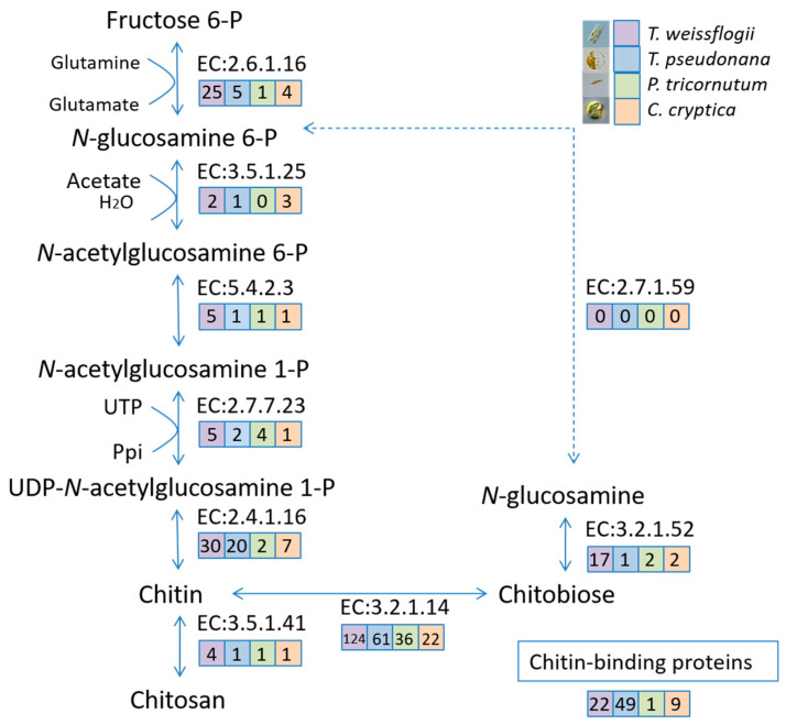 Figure 7