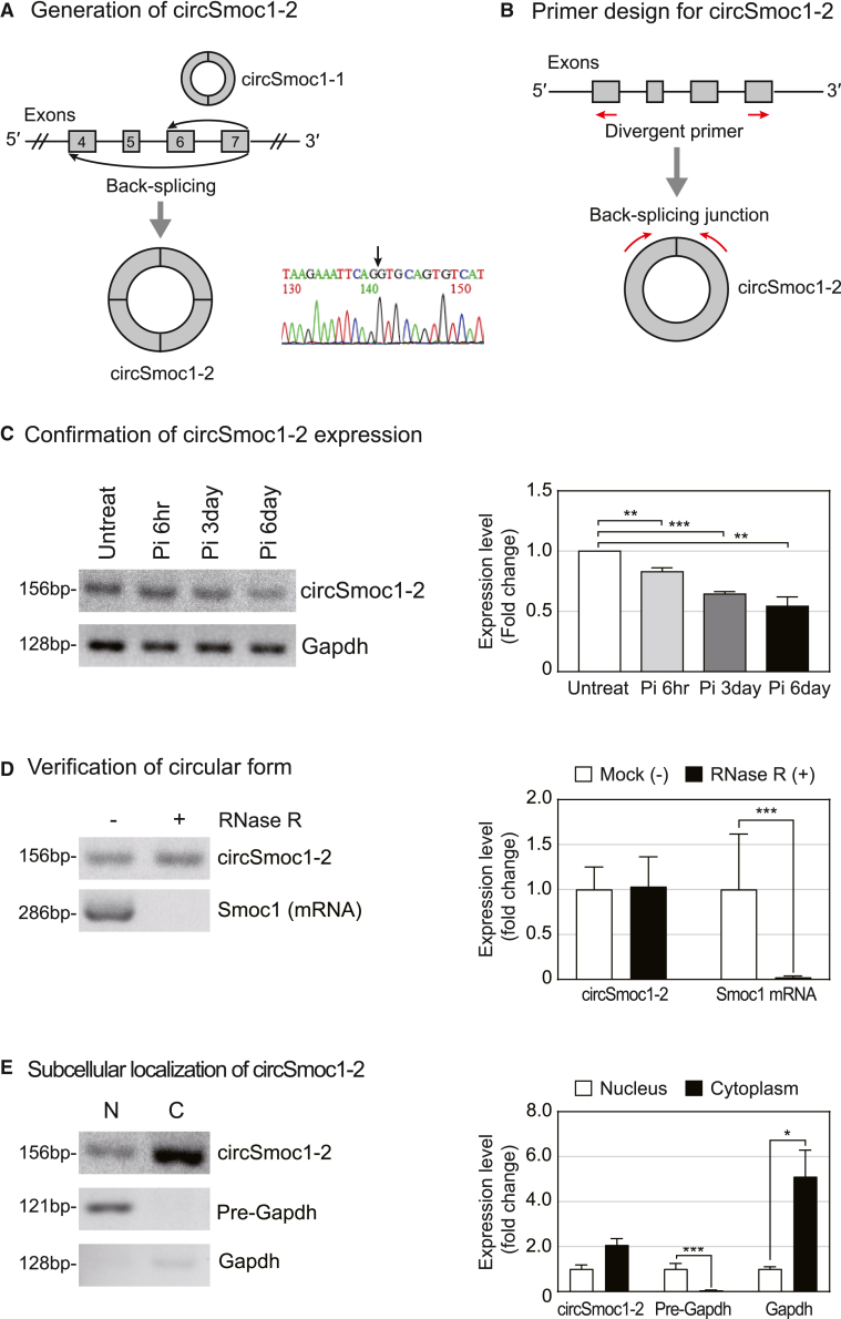 Figure 1