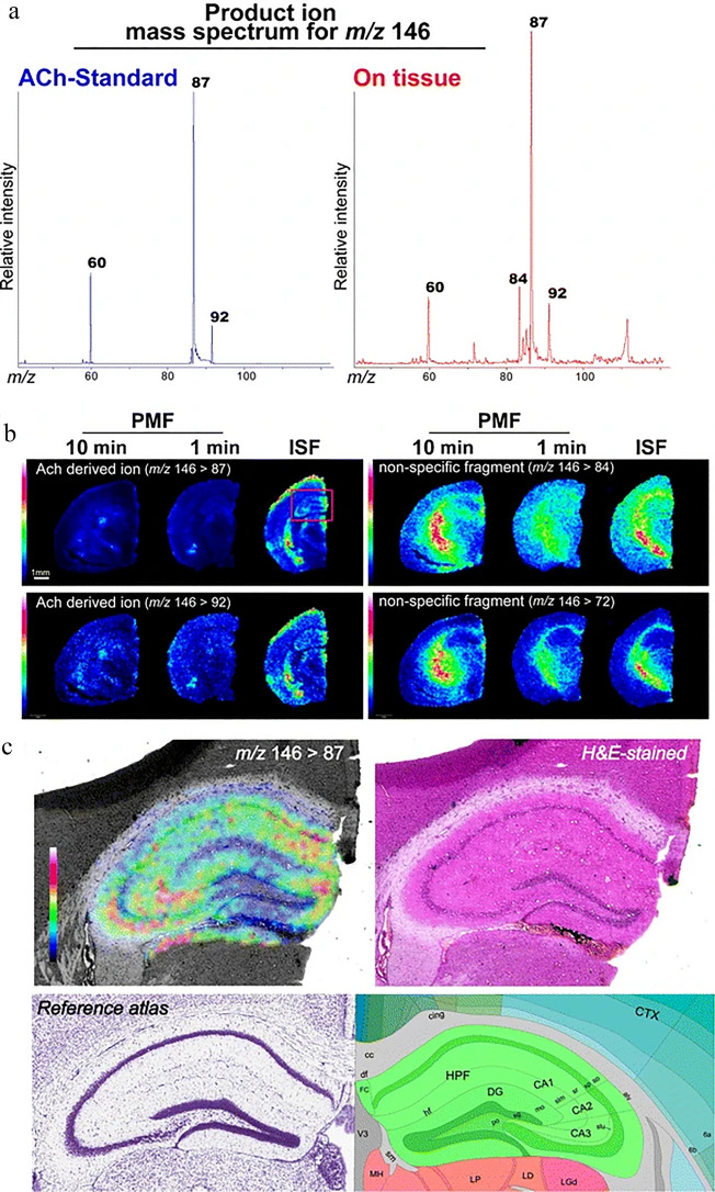 Fig. 4