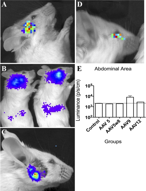 Figure 2.