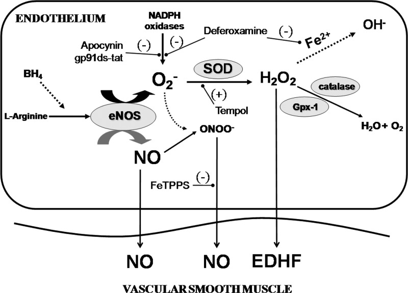 Fig. 11.