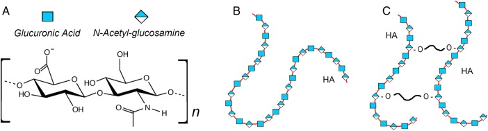 Fig. 1.