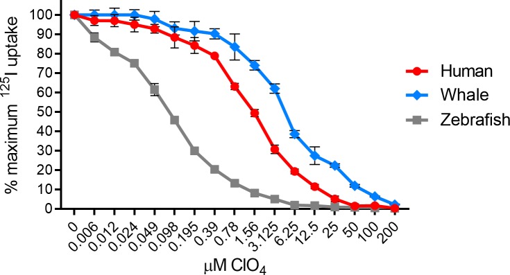 Fig 5