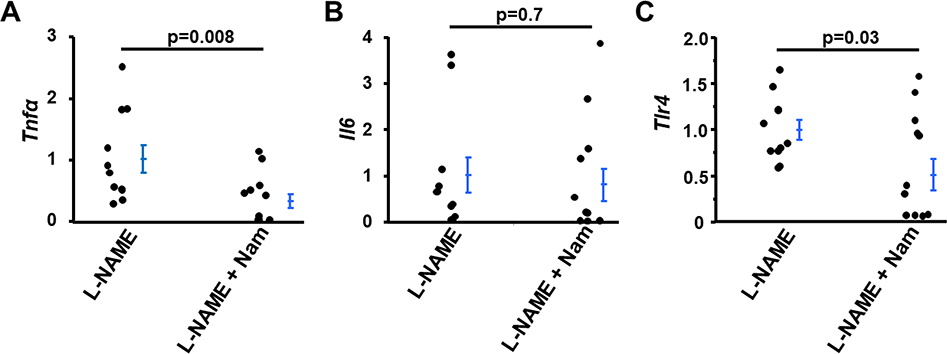 Figure 2: