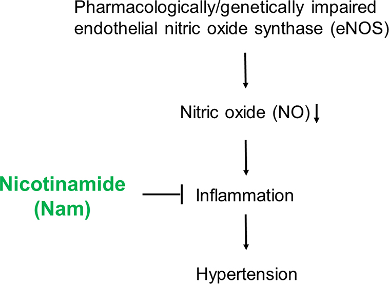 Figure 6: