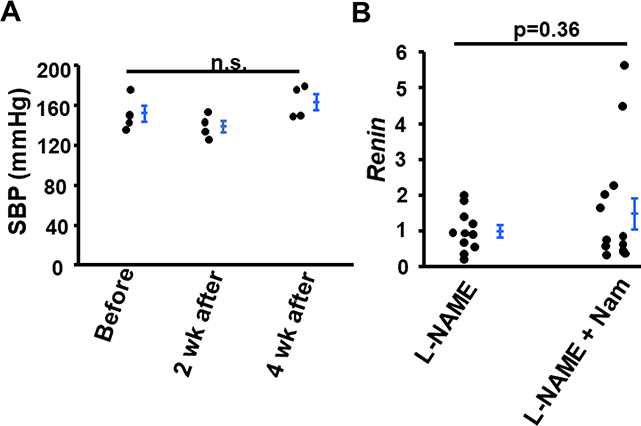 Figure 5: