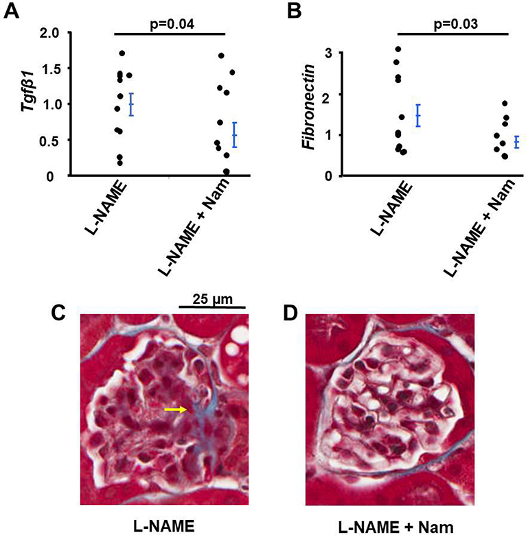 Figure 3: