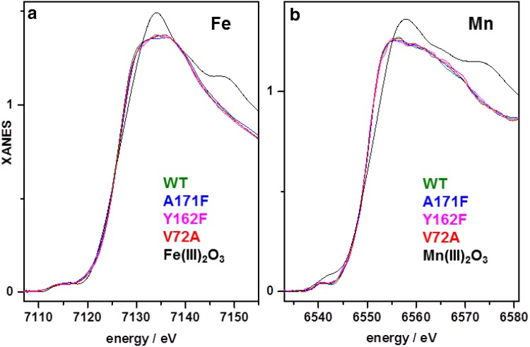 Fig. 2