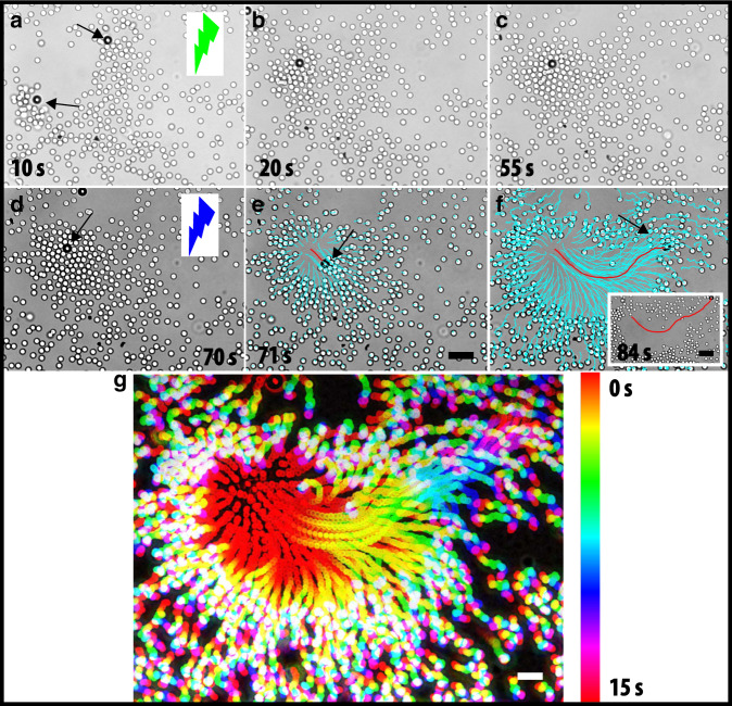 Fig. 4