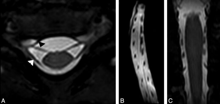 Fig 2.