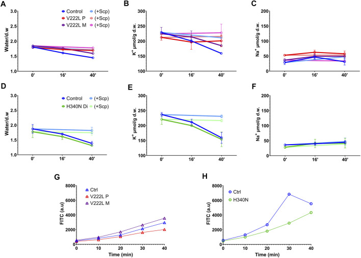 FIGURE 3