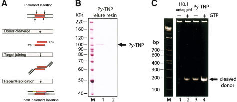 Figure 1.