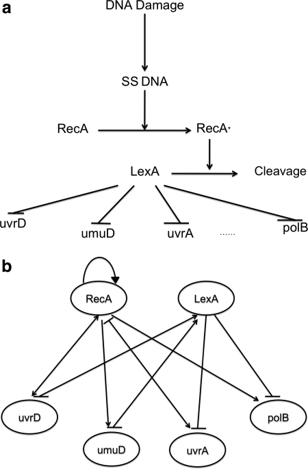 FIG. 6.