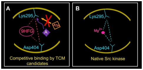 Figure 16