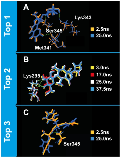 Figure 13