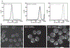 Figure 22.7