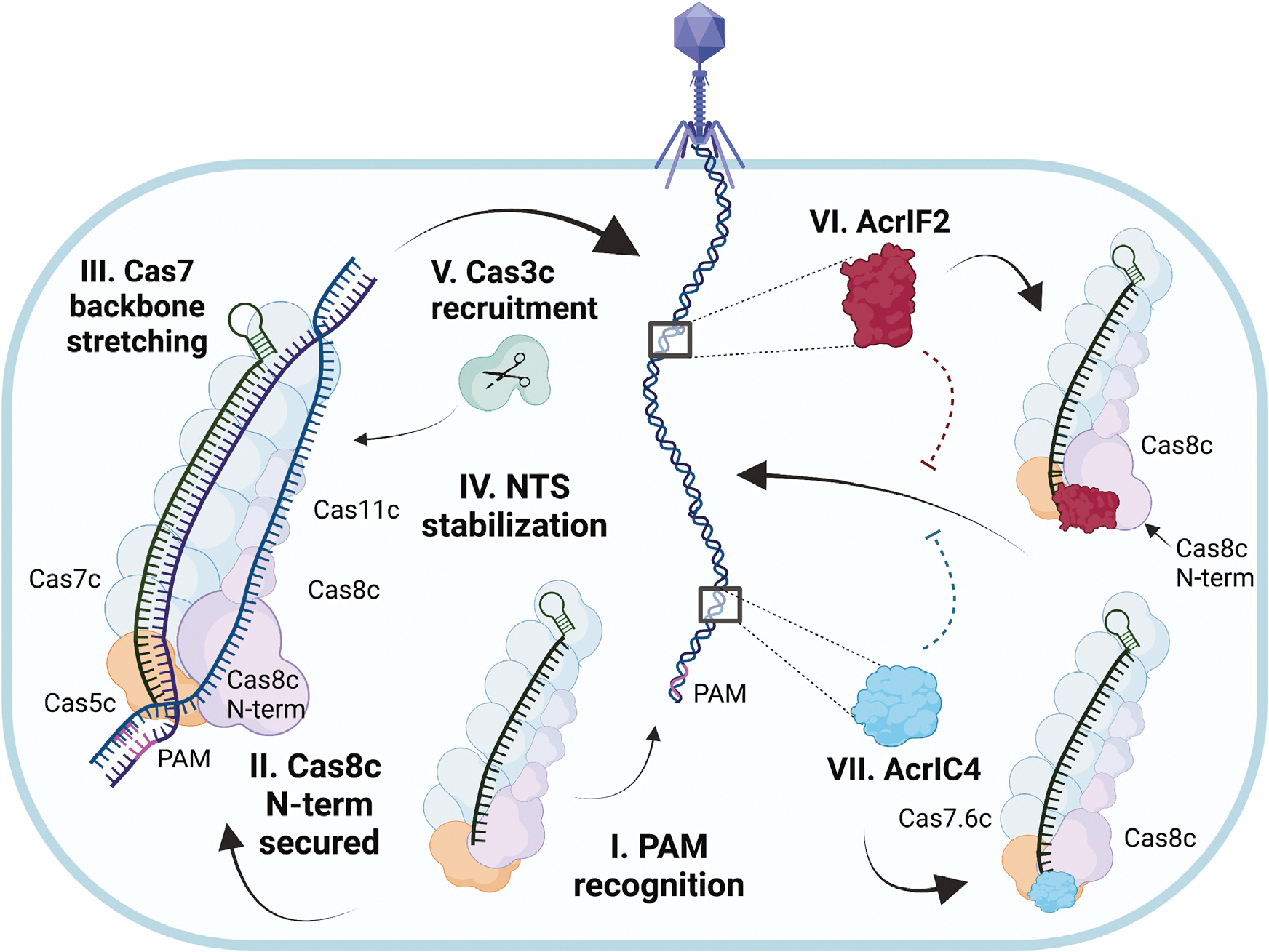 Figure 6.