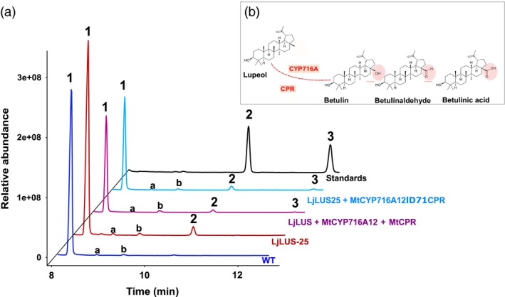 Figure 7