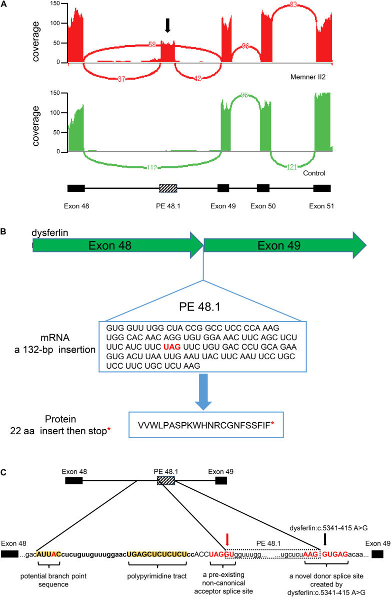 FIGURE 3