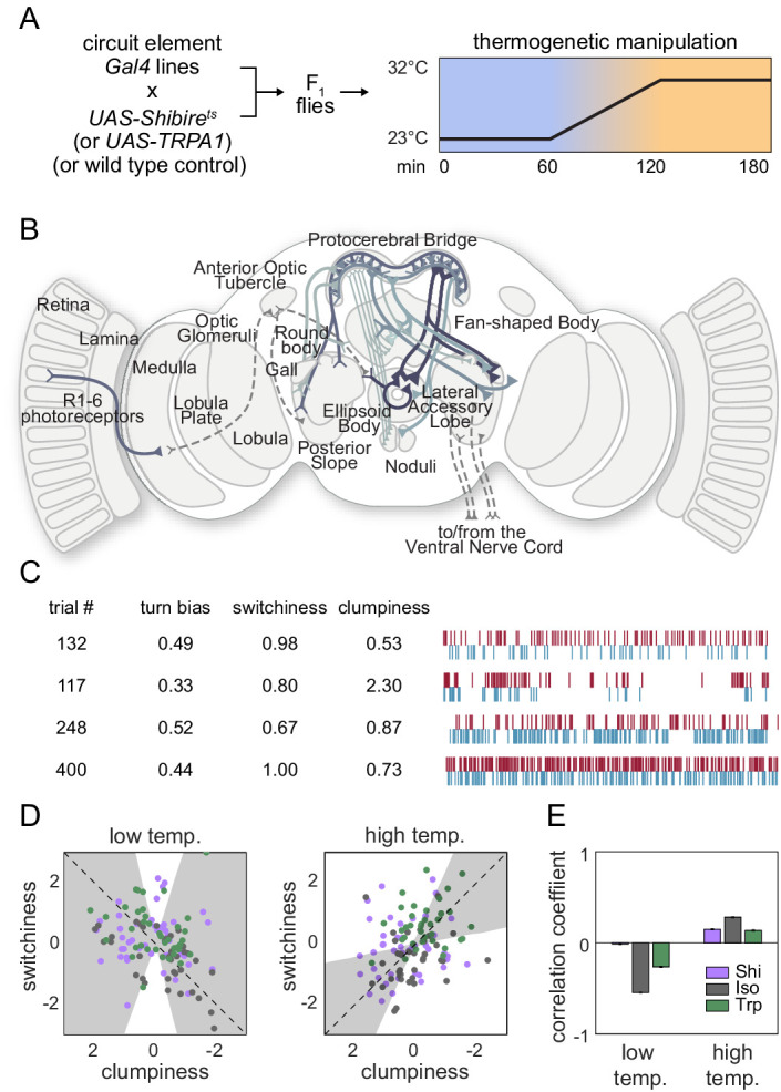 Figure 3—figure supplement 1.