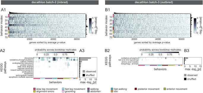 Figure 4—figure supplement 3.