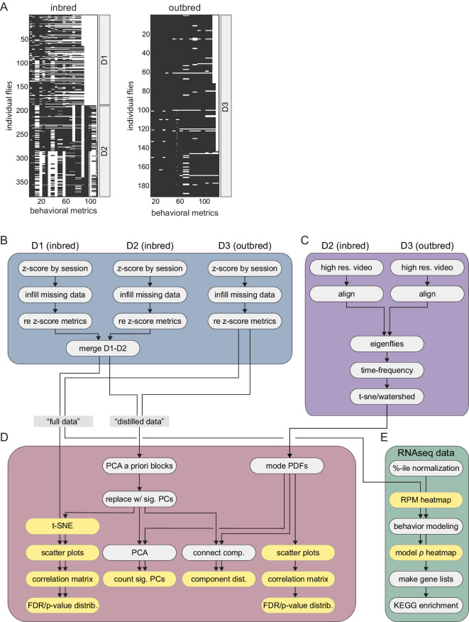 Figure 1—figure supplement 4.