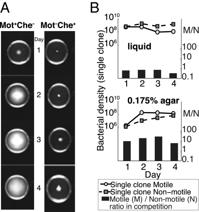 Fig. 4.