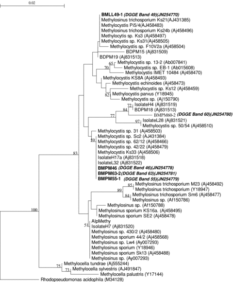 Figure 10